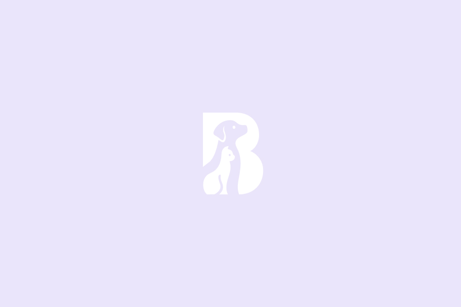 Black Warrior Pet Waste Logo on a light purple background