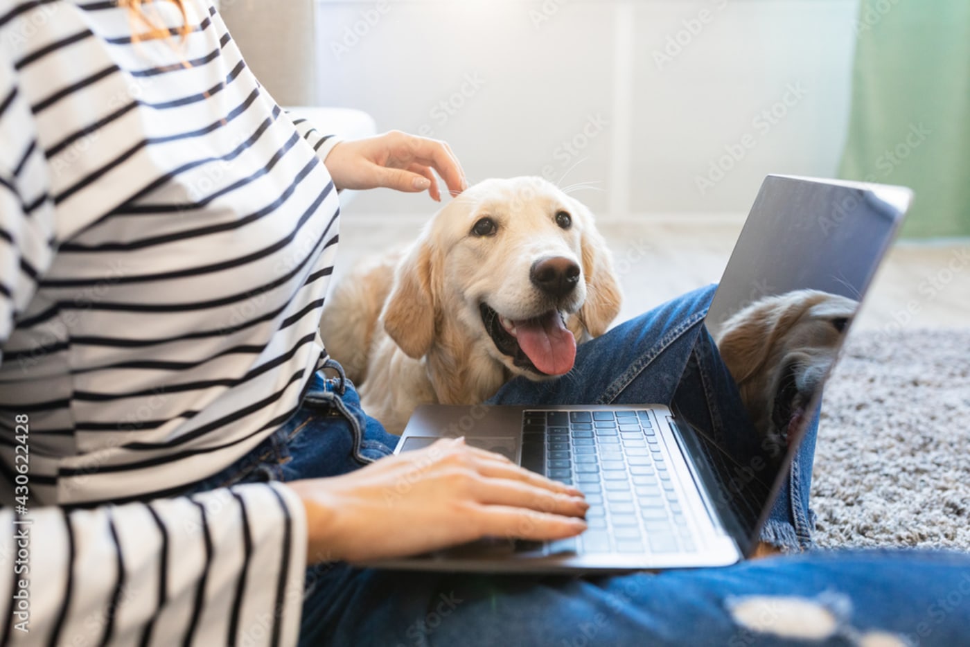  Women sitting with dog and laptop on her lap 