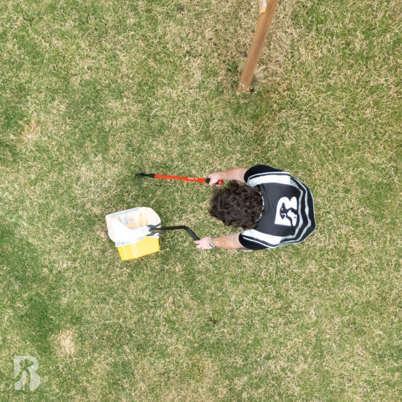 Overhead view of a man scooping dog poop