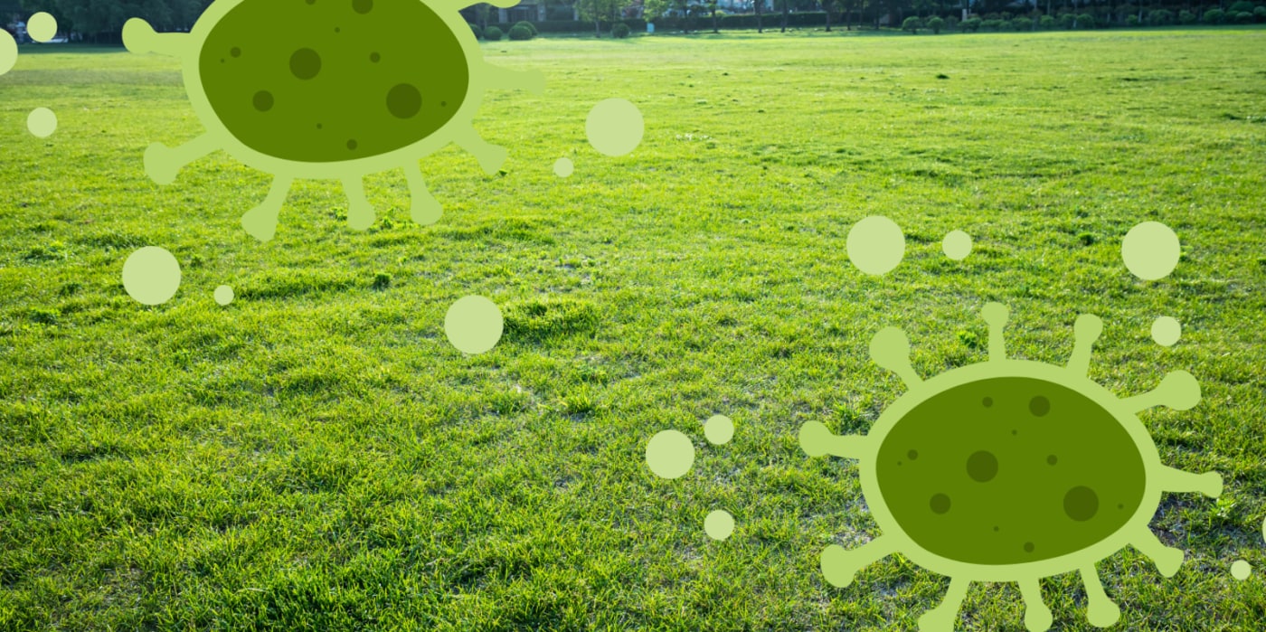 Why Dog Waste Is Destroying Your Lawn and Putting Your Family at Risk