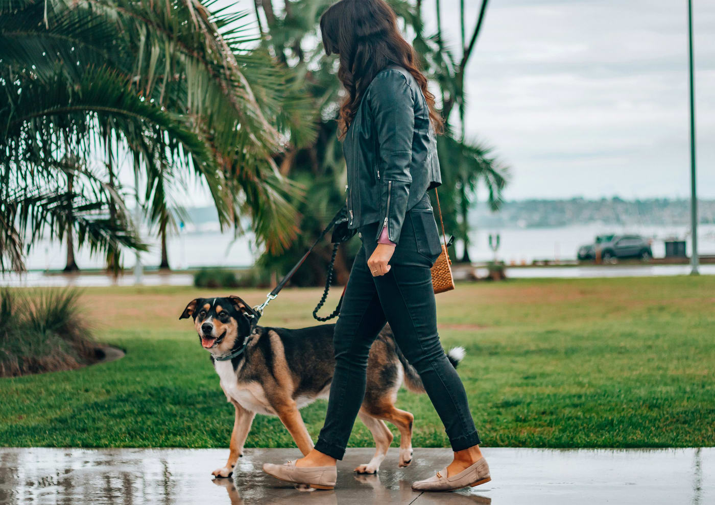 Pet waste removal service for HOA communities and apartments in Tuscaloosa and Birmingham Alabama